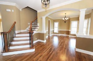 Property Renovation 3